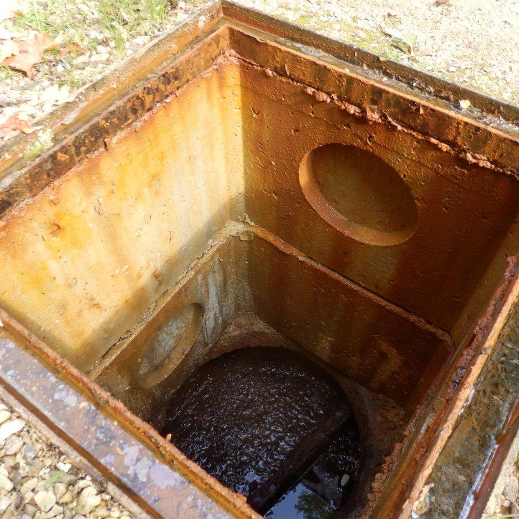 Septic Inspections